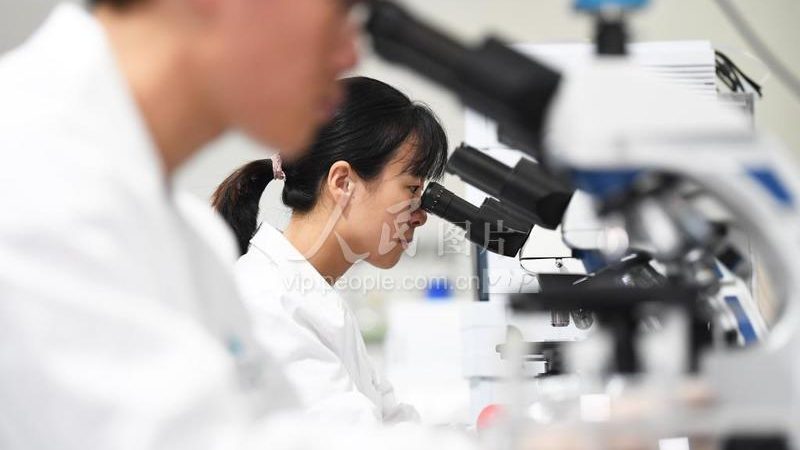 定制化cro优化方案：揭秘制药企业的研发利器**