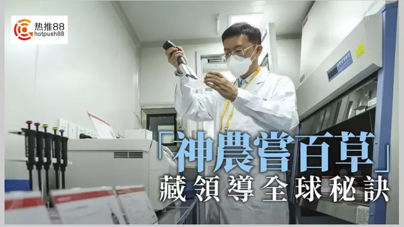 肿瘤基因测序结果出炉时间揭秘