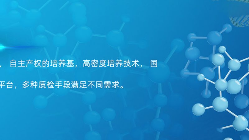 CHO细胞表达单抗规格，如何确保研发质量？**