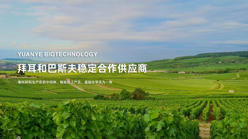 PCR引物纯化方法选择注意事项