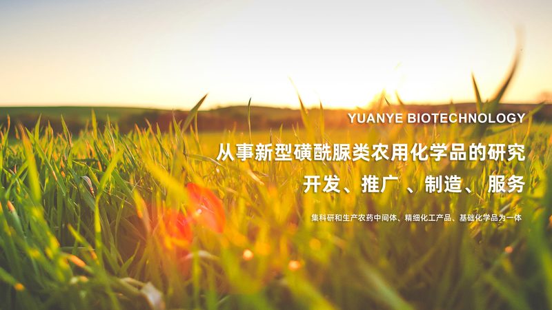 成都CDMO工艺流程：揭秘生物制药的关键环节