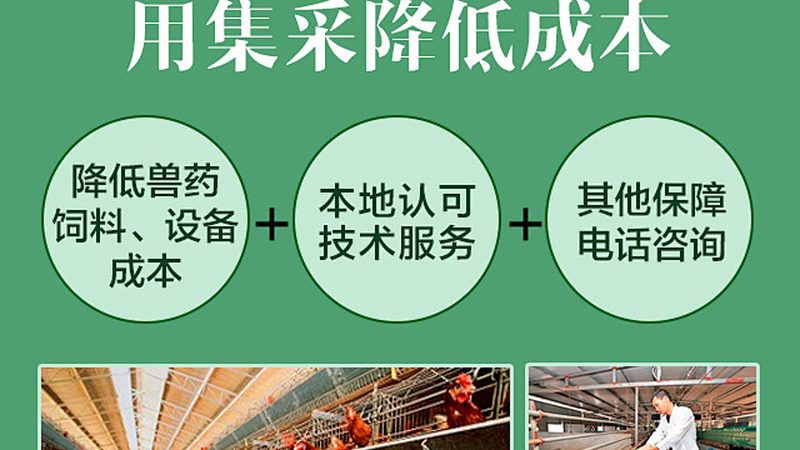 CDMO技术平台：揭秘药物研发的“幕后英雄”**