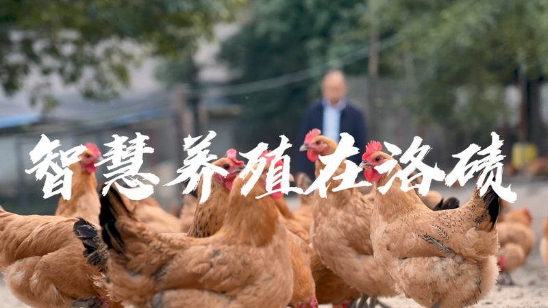 CRS与A/B测试：成本对比解析