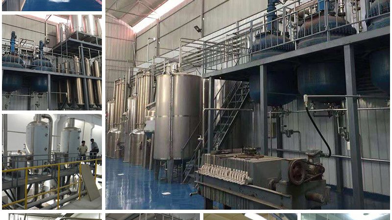 酶制剂国标饲料添加剂规范：合规之路与行业洞察**