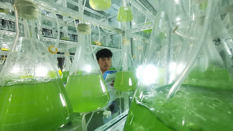 广东生物科技饲料：揭秘其发展现状与未来趋势**